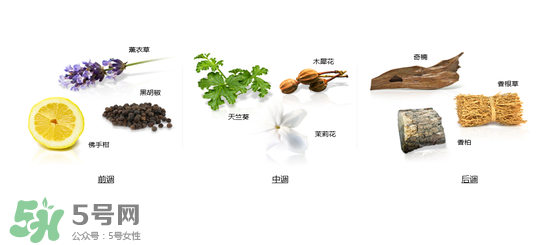 郎朗香水是什么牌子？郎朗香水是什么檔次？