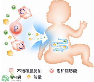 kabrita佳貝艾特羊奶粉怎么樣？kabrita佳貝艾特羊奶粉好不好？