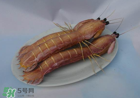 皮皮蝦死了還能吃嗎？皮皮蝦死了多久還能吃？