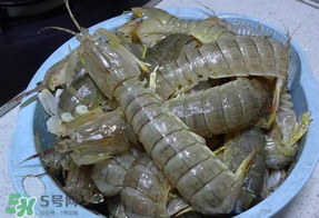 皮皮蝦死的怎么清洗？死的皮皮蝦怎么清洗？