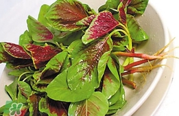 莧菜怎么吃？莧菜怎么炒