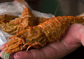 蝦爬子不能和什么一起吃？吃完蝦爬子不能吃什么？