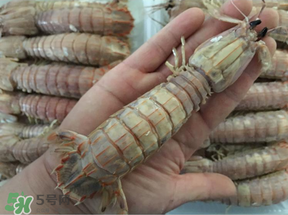 蝦爬子是蒸還是煮？蝦爬子蒸好還是煮好？