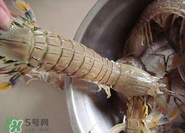 皮皮蝦可以放冰箱嗎？皮皮蝦能放冰箱保存嗎？