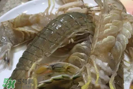 皮皮蝦可以放冰箱嗎？皮皮蝦能放冰箱保存嗎？