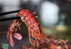 熟皮皮蝦隔夜還能吃嗎？煮熟的皮皮蝦隔夜能吃嗎？