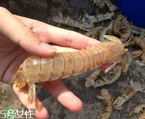 ?皮皮蝦發(fā)綠能吃嗎？?皮皮蝦變綠了還能吃嗎？