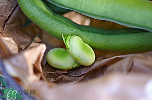 蠶豆可以放冰箱嗎？新鮮蠶豆可以放冰箱嗎？