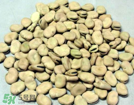 蠶豆長蟲還能吃嗎？蠶豆怎么保存不長蟲？