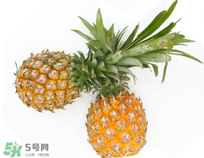皮皮蝦和菠蘿能一起吃嗎？吃完皮皮蝦能吃菠蘿嗎？