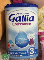 gallia佳利雅奶粉怎么沖？gallia佳利雅奶粉沖調(diào)方法？