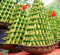 富貴竹有幾個品種？富貴竹有種子嗎？
