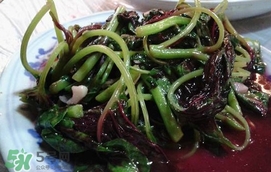 汗菜是發(fā)物嗎？汗菜是不是發(fā)物嗎