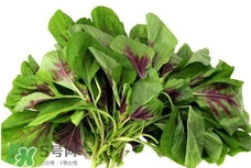 莧菜與什么相克？莧菜與什么食物相克