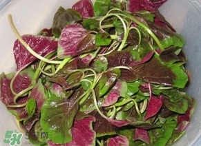 莧菜怎么洗？莧菜怎么擇