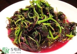 汗菜是發(fā)物嗎？汗菜是不是發(fā)物嗎