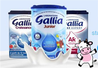 gallia佳利雅奶粉怎么沖？gallia佳利雅奶粉沖調(diào)方法？