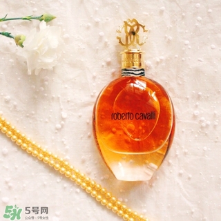 roberto cavalli是什么牌子？羅伯托卡沃利是幾線什么檔次？