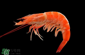 基圍蝦不能和什么一起吃？基圍蝦和什么不能一起吃？
