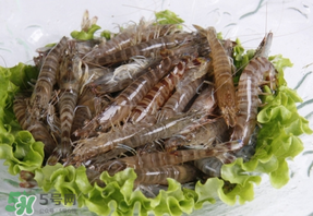 基圍蝦不能和什么一起吃？基圍蝦和什么不能一起吃？