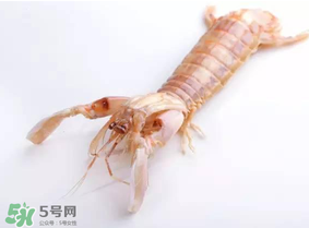 皮皮蝦什么時(shí)候有籽？皮皮蝦幾月份有籽？