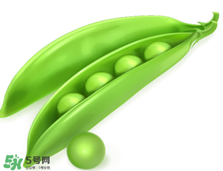 荷蘭豆能生吃嗎？荷蘭豆生的可以吃嗎？