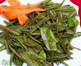 莼菜是什么菜？莼菜是荷葉嗎？