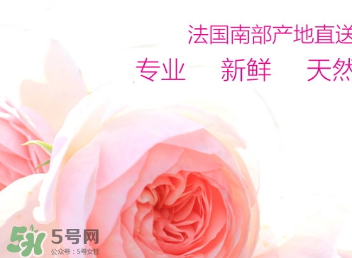 rossi rossa面膜怎么樣？rossi rossa珞珞莊園面膜好不好？