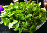 西洋菜怎么摘洗？西洋菜怎么洗才干凈