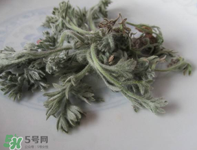白蒿能治黃疸嗎？白蒿水可以治黃疸嗎？