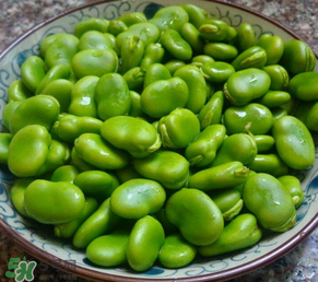 蠶豆多少錢一斤？蠶豆多少錢一斤2017？