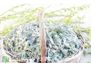 白蒿要焯水嗎？白蒿要不要焯水？