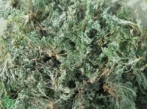 白蒿多少錢一斤？白蒿的價格