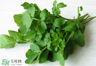 西洋菜是涼性的嗎？西洋菜是性寒的菜嗎