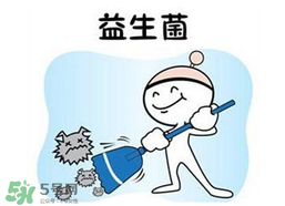 益生菌哪個(gè)牌子好？哪個(gè)牌子的益生菌好？