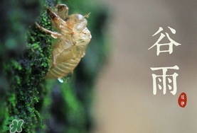 谷雨養(yǎng)生吃什么？谷雨養(yǎng)生常識