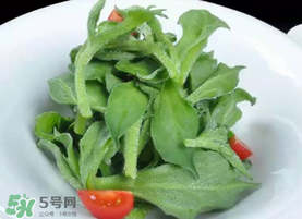 冰草不能和什么一起吃？冰草不能和什么同時(shí)吃？