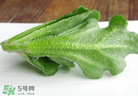 冰草不能和什么一起吃？冰草不能和什么同時(shí)吃？