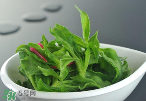 冰草可以放冰箱嗎？冰草能用冰塊保存嗎？