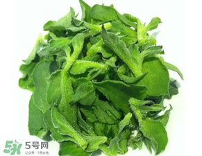 冰草為什么咸？冰草怎吃不咸？