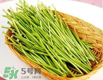 蘆蒿與茼蒿有什么區(qū)別？蘆蒿和茼蒿的區(qū)別