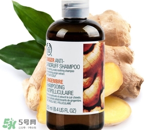 美體小鋪生姜洗發(fā)水怎么樣？the body shop生姜洗發(fā)水使用心得