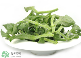 ?冰草為什么會(huì)酸？冰草為什么是酸的？