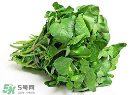 哺乳期能吃西洋菜嗎？哺乳期可以吃西洋菜嗎