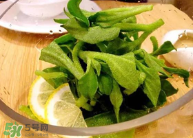冰草用什么醬？冰草用什么醬好吃？