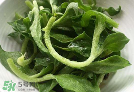 冰菜為什么會酸？冰菜為什么是咸的？