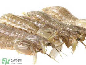 蝦爬子什么季節(jié)最肥？蝦爬子幾月份最肥？