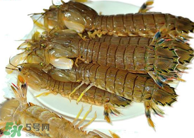 蝦爬子能冷凍嗎？蝦爬子可以冷藏嗎？