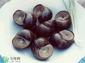 田螺不能和什么一起吃？田螺和什么不能一起吃？