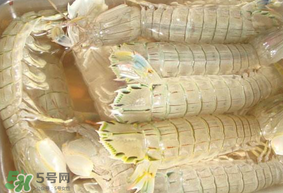 蝦爬子綠色怎么回事？蝦爬子變黑還能吃嗎？